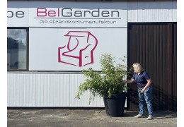 Seit 20.08.2025 geöffnet - der XXL-Showroom in Seevetal-Hittfeld